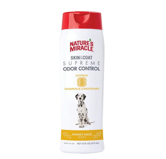 Shampoo & Conditioner