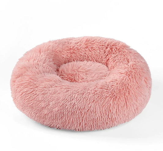 Beds, Cushions & Furniture