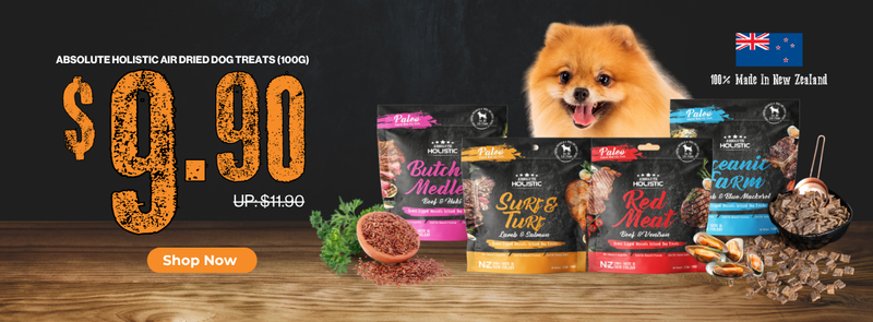 1240_x_458_px_of_Boughtnex_Domain_3 - Powerpets