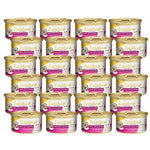 Bundle of 24 Aatas Cat Finest Wet Cat Food Chicken Coconut H20