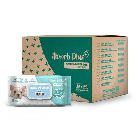 One Carton Absorb Plus Anti-Bacterial Pet Wipes Baby Powder