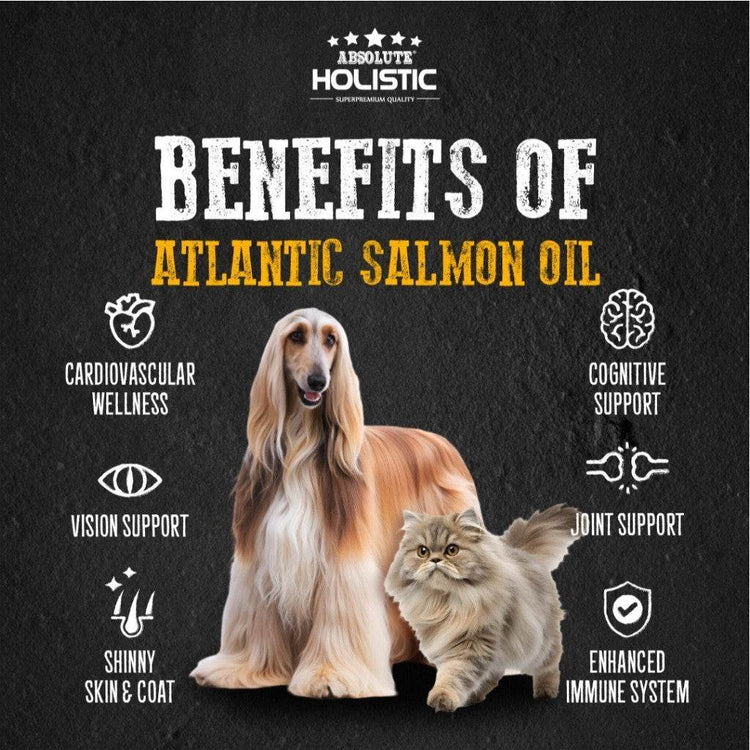 Absolute Holistic Wild Salmon Fish Oil 250ml