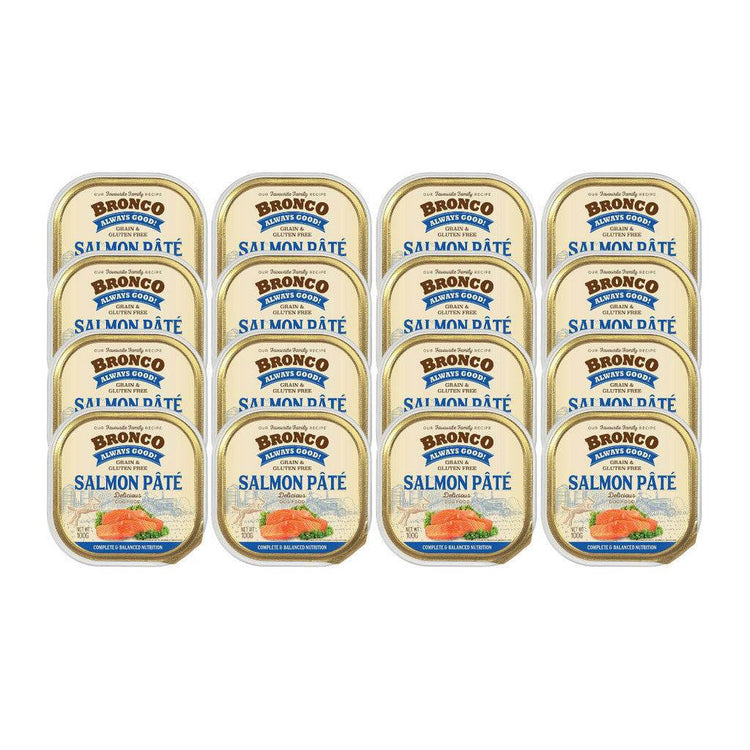 Bundle of 16 Bronco Tray Dog Food Salmon
