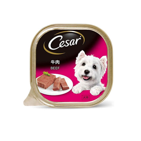 85g/100g Cesar Wet Food for Dogs Beef