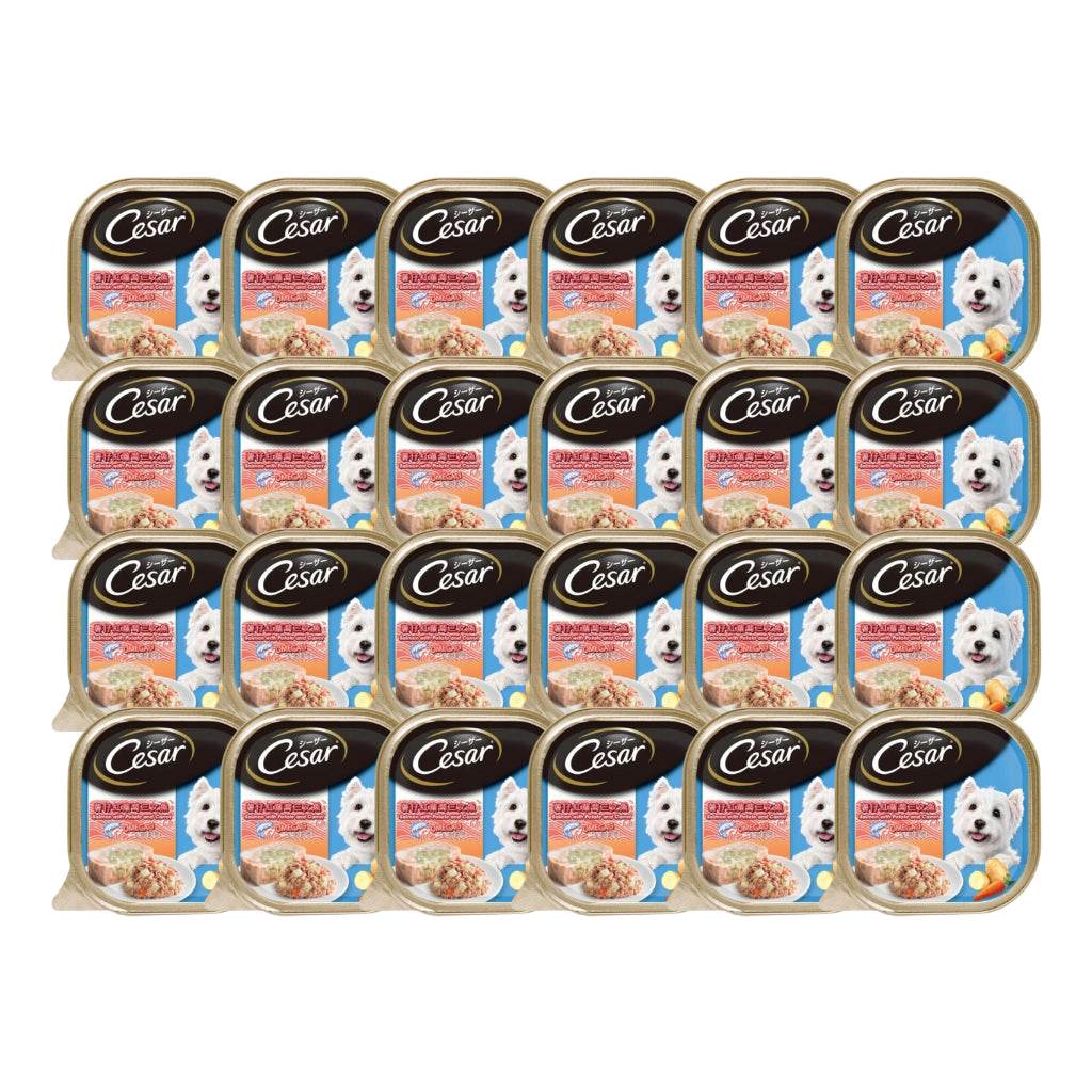 Cesar Dog Tray Wet Food Salmon Potato Carrot