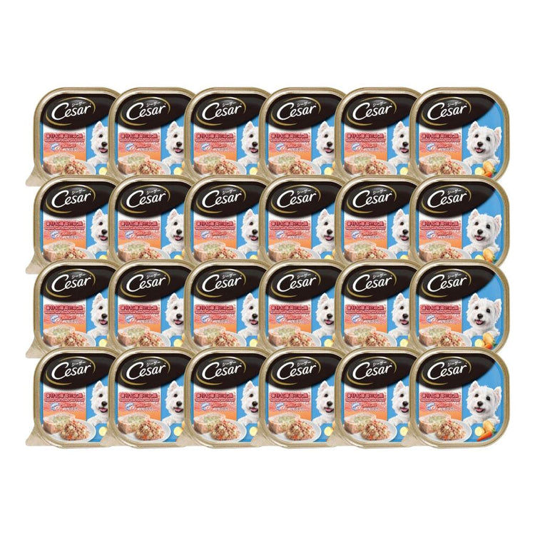 Cesar Dog Tray Wet Food Salmon Potato Carrot