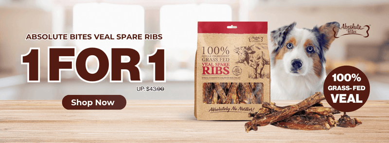 Copy_of_Boughtnex_Domain_1240_x_458_px - Powerpets