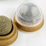 Hypoallergenic Organic Catnip Ball Cat Toy