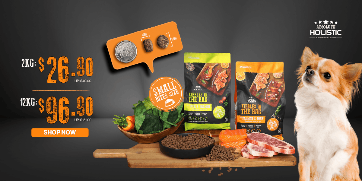 Grey_Creative_Online_Store_Banner - Powerpets