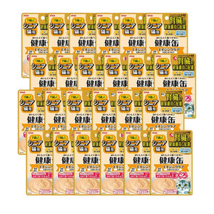 Bundle of 24 Aixia Kenko Pouch For Cat