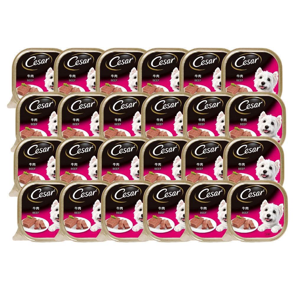 Cesar Dog Tray Wet Food Beef