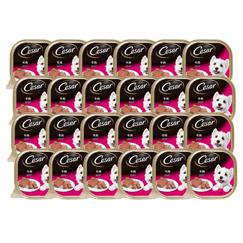 Cesar Dog Tray Wet Food Beef