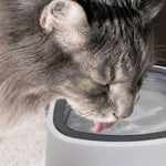 Pet Magic Bowl For Dog And Cat