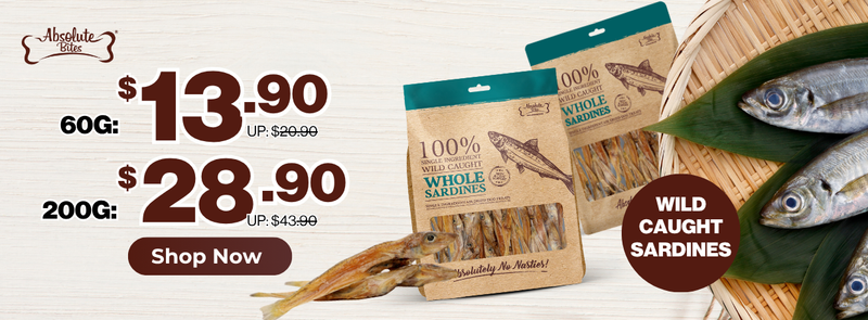 1240_x_458_px_of_Boughtnex_Domain - Powerpets