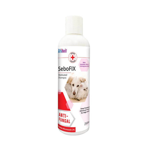 250ml Animedx Anti-Fungal Pet Shampoo Coconut Shampoo
