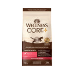 Wellness CORE Grain-Free Dry Cat Food DigestivHealthSalmon
