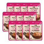 Wellness CORE Tiny Tasters Wet Cat Food Duck