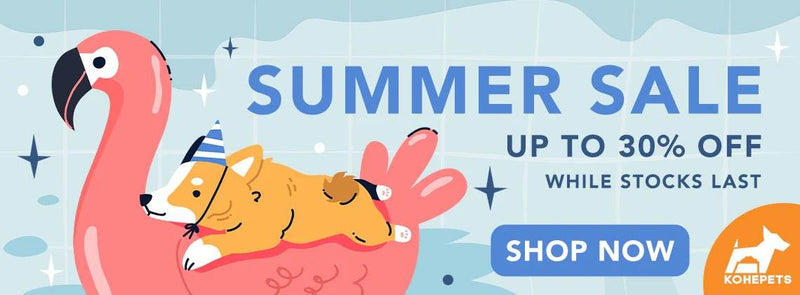 WhatsApp_Image_2025-06-14_at_2.34.03_AM - Powerpets