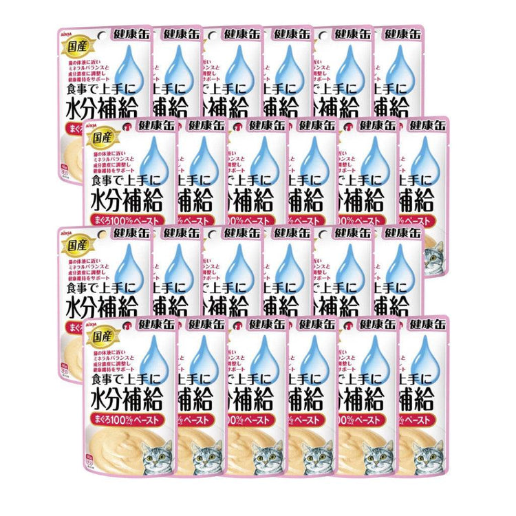 Bundle of 24 Aixia Kenko Pouch For Cat KZJ1 Tuna
