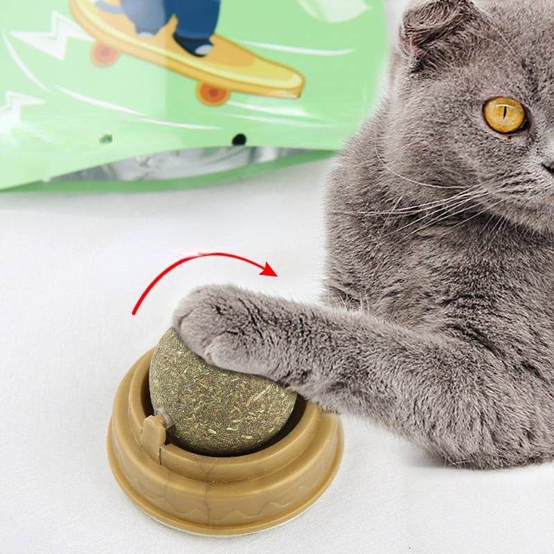 Hypoallergenic Organic Catnip Ball Cat Toy