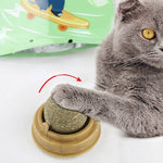 Hypoallergenic Organic Catnip Ball Cat Toy