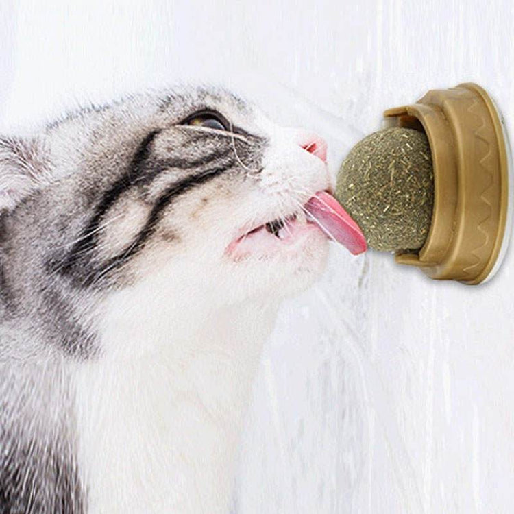 Hypoallergenic Organic Catnip Ball Cat Toy
