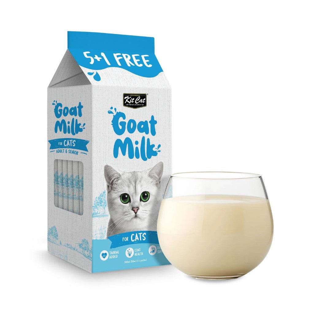 Kit Cat Savoury Milk & Soup Wet Food Pouch 50g (Soup) Salmon