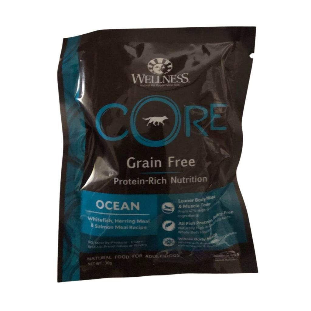 Wellness CORE Grain Free Dry Food for Dog