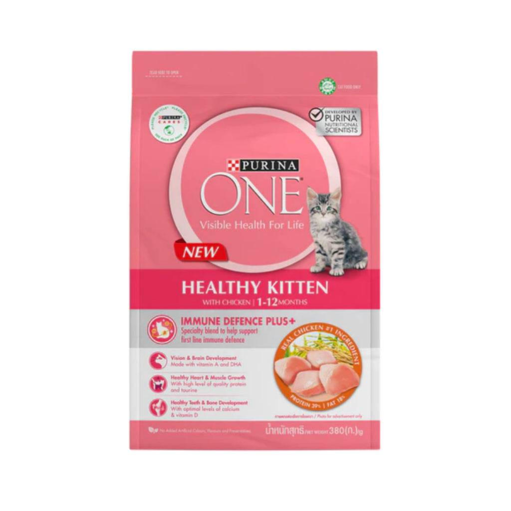 Purina ONE Dry Cat Food 380g Healthy Kitten Chick
